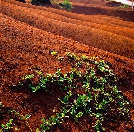 亚瑟配音：别瞎猜GTA6线索了！玩家：新线索来啦！